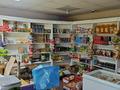Действующий продуктовый магазин · 99 м² за 15 млн ₸ в Мамлютке — фото 17