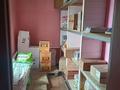 Действующий продуктовый магазин · 99 м² за 15 млн ₸ в Мамлютке — фото 9