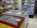Дүкендер мен бутиктер · 70 м², бағасы: 75 млн ₸ в Астане, Сарыарка р-н — фото 2
