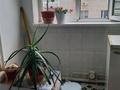 3-бөлмелі пәтер · 83 м² · 3/4 қабат, РУ-6 25 — Флайдың артындағы, бағасы: 16 млн ₸ в Шиели — фото 16