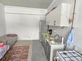 Отдельный дом · 2 комнаты · 72.6 м² · 10 сот., Центральная за 25 млн ₸ в Алмалыке — фото 46