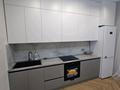 2-бөлмелі пәтер · 68 м² · 4/9 қабат, Е 496 8, бағасы: 380 000 ₸ в Астане, Есильский р-н — фото 4