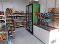 Бизнес продуктовый магазин · 42 м² за 6 млн ₸ в Астане, Есильский р-н — фото 10