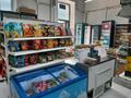 Бизнес продуктовый магазин · 42 м² за 6 млн ₸ в Астане, Есильский р-н — фото 6