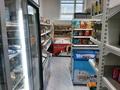 Бизнес продуктовый магазин · 42 м² за 6 млн ₸ в Астане, Есильский р-н — фото 7