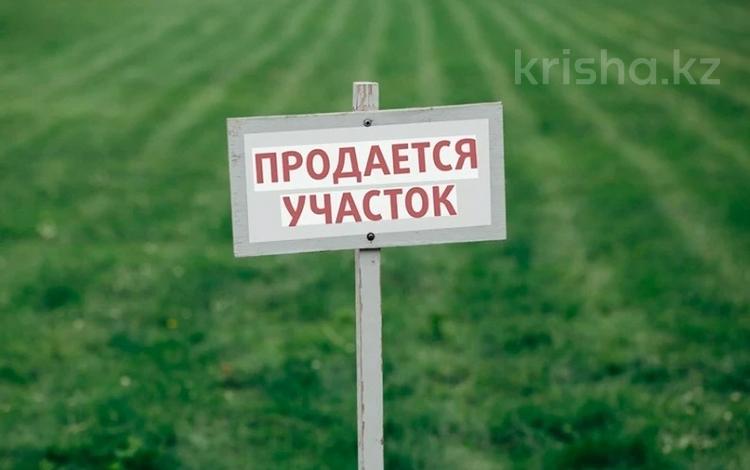 Участок · 15.5 га, Улан 18 за 12.3 млн ₸ в  — фото 3