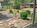 Жеке үй · 4 бөлме · 180 м² · 18 жүзд., С.горное 3, бағасы: 32 млн ₸ в Сарыагаш — фото 4