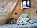 Дача · 2 комнаты · 46 м² · 6 сот., мкр Таусамалы, Шетен — Ермека за 45 млн ₸ в Алматы, Наурызбайский р-н — фото 10
