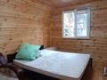 Жеке үй · 8 бөлме · 260 м² · 10 сот., Мохнатка, бағасы: 51 млн ₸ в Новой бухтарме — фото 31