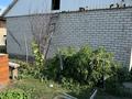 Отдельный дом · 4 комнаты · 76.6 м² · 4.2 сот., Аймаутова 113 за 60 млн ₸ в Семее