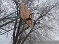 Дача · 1 комната · 100 м², Г.Игенсартова 49 — Жанибекова за 2 000 ₸ в Каркаралинске — фото 4