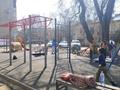1-комнатная квартира · 17 м² · 5/5 этаж, ул. Богенбай батыра 272Б за 11.5 млн ₸ в Алматы, Алмалинский р-н — фото 2