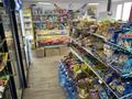 Магазин продуктовый, 70 м² за 2.5 млн 〒 в Астане, Нура р-н — фото 4