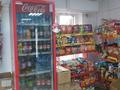 Действующий продуктовый магазин · 85 м² за 65 млн ₸ в Уральске, мкр. Зачаганск пгт — фото 6