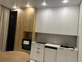1-бөлмелі пәтер · 54 м² · 1/12 қабат, Момышулы 2г блок 1, бағасы: 34 млн ₸ в Астане, Алматы р-н — фото 14