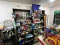 Отдельный дом · 4 комнаты · 120 м² · 125 сот., Шабыт 57 за 48 млн ₸ в Актобе, жилой массив Ясное — фото 47