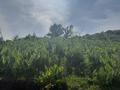 Жер телімі · 21 сотық, Акбулак, бағасы: 25 млн ₸ — фото 2