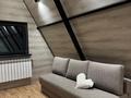 Комплекс из 3-х домиков · 210 м² за 65 млн ₸ в Конаеве — фото 26