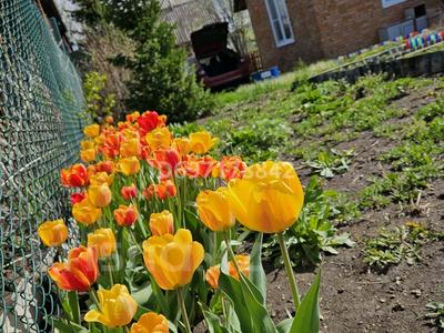 Дача · 2 комнаты · 35.7 м² · 12 сот., ПСТ Надежда — За куленовкой за 8.5 млн 〒 в Усть-Каменогорске, Ульбинский