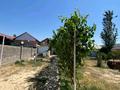 Отдельный дом · 3 комнаты · 100 м² · 1000 сот., Сыбаға — Ақниет ауылы ,Карл макс, Новостройка, Сыбаға көшесі за 12 млн ₸ в Сарыагаш — фото 5