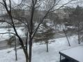 4-бөлмелі пәтер · 86 м² · 3/5 қабат, 11 16, бағасы: 17 млн ₸ в Житикаре — фото 34