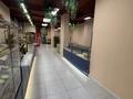 Общепит · 175 м² за 145 млн ₸ в Актау, 17-й мкр — фото 4