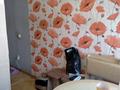 3-бөлмелі пәтер · 50.3 м² · 1/5 қабат, Корчагина 72, бағасы: 12.5 млн ₸ в Рудном — фото 12