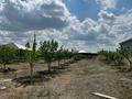 Жеке үй · 5 бөлме · 168 м² · 20 жүзд., Береке 161 — Береке, бағасы: 15.7 млн ₸ в Атырау, Береке (Память Ильича) — фото 15