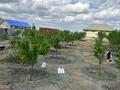 Жеке үй · 5 бөлме · 168 м² · 20 жүзд., Береке 161 — Береке, бағасы: 15.7 млн ₸ в Атырау, Береке (Память Ильича) — фото 18