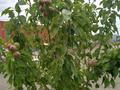 Жеке үй · 5 бөлме · 168 м² · 20 жүзд., Береке 161 — Береке, бағасы: 15.7 млн ₸ в Атырау, Береке (Память Ильича) — фото 5