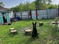 Отдельный дом · 4 комнаты · 55 м² · 17 сот., Наурыз 6 за 1.6 млн ₸ в Петропавловске — фото 7
