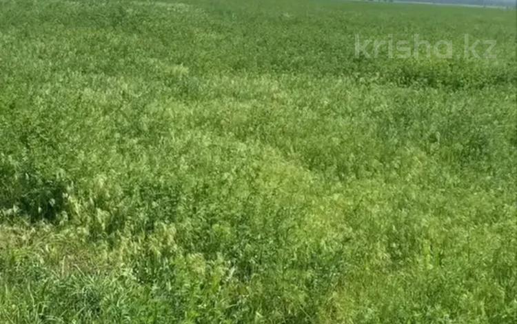 Жер телімі · 3 га, Ушконыр — П.Бекболат, бағасы: 28 млн ₸ — фото 2