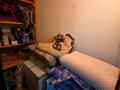 3-бөлмелі пәтер · 67 м² · 2/5 қабат, Абылай Хана 60, бағасы: 22.5 млн ₸ в Щучинске — фото 17