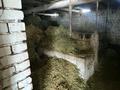 Отдельный дом · 8 комнат · 237 м² · 20 сот., Байтурсынова 84 — Гимназия, техникум за 110 млн ₸ в Шамалгане — фото 21