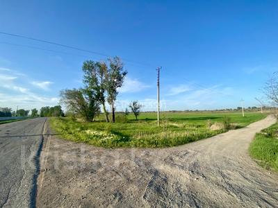 Жер телімі · 5 сотық, Байтерек (Новоалексеевка), бағасы: 7.5 млн ₸
