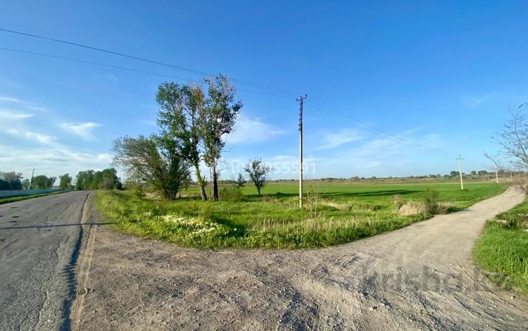 Жер телімі · 5 сотық, Байтерек (Новоалексеевка), бағасы: 7.5 млн ₸ — фото 6