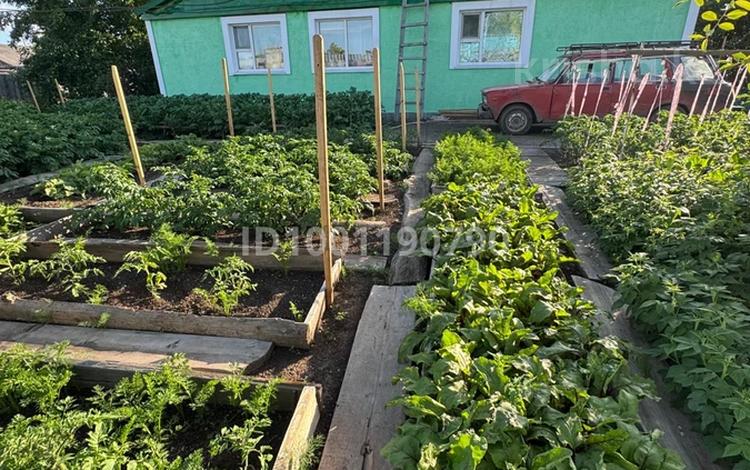 Отдельный дом · 4 комнаты · 80 м² · 6 сот., Рудничная — Заезд со стороны элеватора за 8.5 млн ₸ в Аркалыке — фото 17