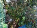 Отдельный дом · 4 комнаты · 80 м² · 6 сот., Рудничная — Заезд со стороны элеватора за 8.5 млн ₸ в Аркалыке — фото 6