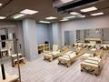 Свободное назначение · 150 м² за 75 млн ₸ в Астане, Сарыарка р-н — фото 13