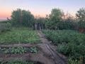 Саяжай · 2 бөлме · 25 м² · 14 жүзд., Зелёная 3 — Плодородие, бағасы: 2 млн ₸ в Темиртау — фото 10