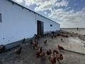Участок · 5 га, Алмалы 10 за 40 млн ₸ в Атырау