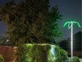Дача · 2 комнаты · 50 м² · 5.5 сот., жилой массив Кайнар Булак, Вишновая 16 — Центр за 27.5 млн ₸ в Шымкенте, Абайский р-н — фото 17