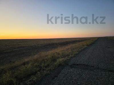 Участок · 800 га, Участок Кербулак за 150 млн ₸ в Алматинской обл.