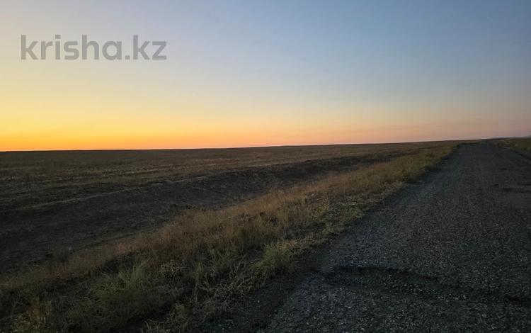 Участок · 800 га, Участок Кербулак за 150 млн ₸ в Алматинской обл. — фото 2