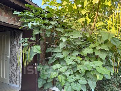 Часть дома · 1 комната · 28 м², мкр Тастак-3 6 — Ташкентская розыбакиева за 170 000 〒 в Алматы, Алмалинский р-н