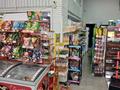 Магазины и бутики · 125 м² за 1.4 млн ₸ в Астане, Есильский р-н — фото 7