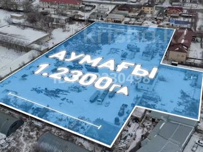 Участок · 1.23 га, Мкр. Центральный (2201300013498493) — Grand Hall / мечеть / Deluxe Plaza за 400 млн 〒 в Кульсары