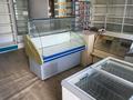 Магазины и бутики, салоны красоты, медцентры и аптеки, образование, развлечения · 56 м² за 13.9 млн ₸ в Кокшетау — фото 3