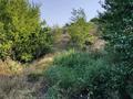 Саяжай · 3 бөлме · 350 м² · 21 жүзд., Горки 118, бағасы: 6.5 млн ₸ в  — фото 26