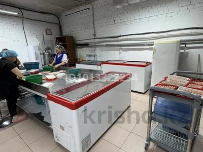 Свободное назначение · 150 м² за 60 млн ₸ в Астане, Нура р-н